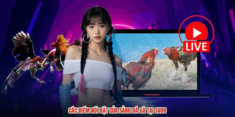 Các điểm nổi bật của sảnh đá gà tại SV88