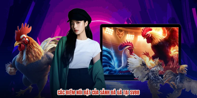 Các điểm nổi bật của sảnh đá gà tại SV88