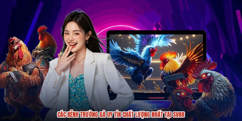 Các kênh trường gà uy tín chất lượng nhất tại SV88