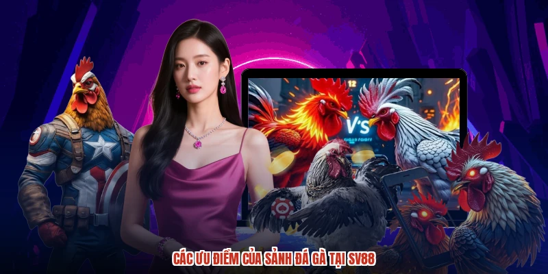 Các ưu điểm của sảnh đá gà tại SV88