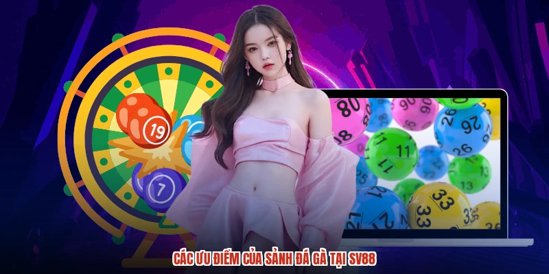 Các ưu điểm của sảnh đá gà tại SV88
