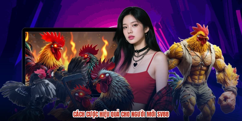 Cách cược hiệu quả cho người mới SV88
