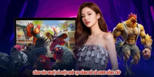 Cách Vào Nghệ Gà Hiệu Quả Tại Sảnh Đá Gà SV88 Đẳng Cấp