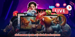 Đá Gà Campuchia Tại SV88: Luật Đấu Và Hình Thức Cược 2026