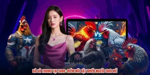 Đá Gà Thomo Tại SV88: Điểm Nổi Bật Khiến Người Chơi Mê
