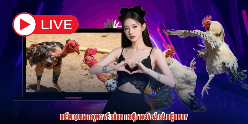 Điểm quan trọng về sảnh thuật ngữ đá gà hiện nay