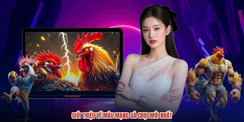 Giới thiệu về màu mạng gà chọi mới nhất