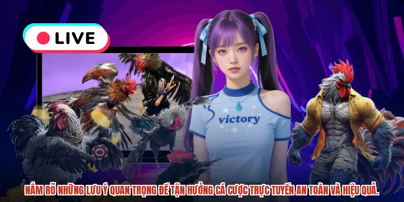Nắm rõ những lưu ý quan trọng để tận hưởng cá cược trực tuyến an toàn và hiệu quả.