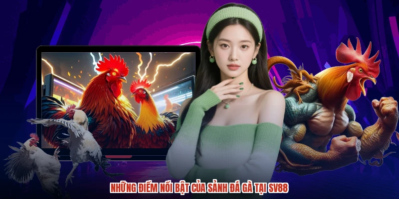 Những điểm nổi bật của sảnh đá gà tại SV88