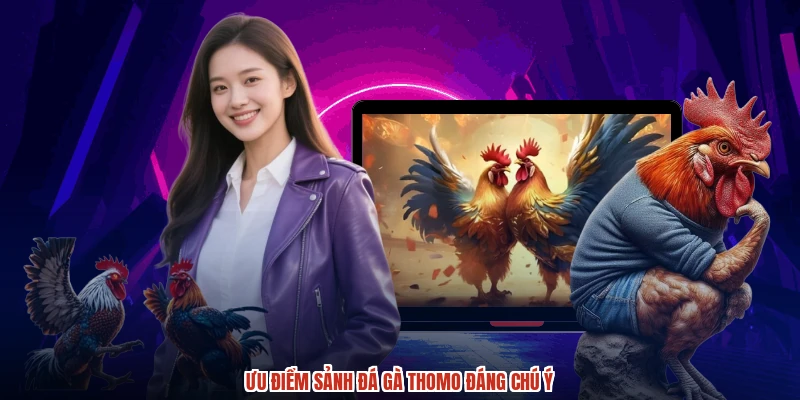 Ưu điểm sảnh đá gà thomo đáng chú ý