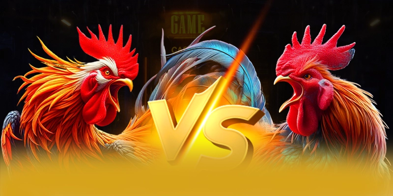 Đội ngũ hỗ trợ người chơi tại 8XBET Đội ngũ hỗ trợ người chơi tại 8XBET