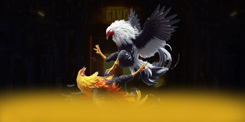 [THUONG_HIEU] - Sân chơi có danh mục game hấp dẫn tại Việt Nam