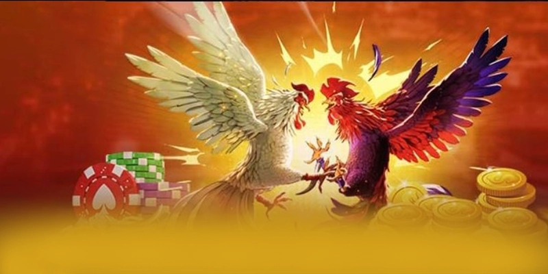 8xbet - Nhà cái quy tụ nhiều siêu phẩm hot 2026