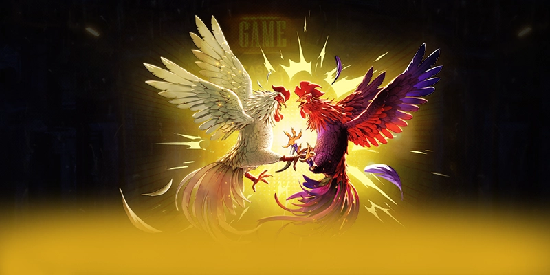 Tìm hiểu FB88 - Trang game đẳng cấp số 1 Việt Nam Tìm hiểu FB88 - Trang game đẳng cấp số 1 Việt Nam